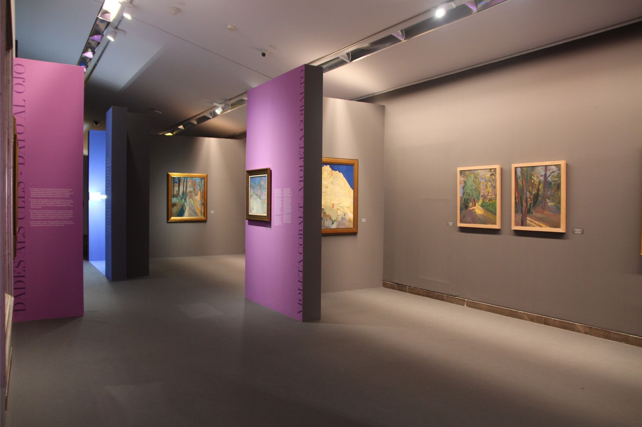 Vista general de la exposición Emilio Varela, El laberinto luminoso, en el MUBAG